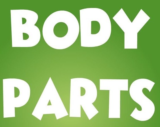 Parts Of The Body | Science - Quizizz