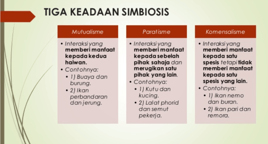 Simbiosis Antara Haiwan Science Quizizz