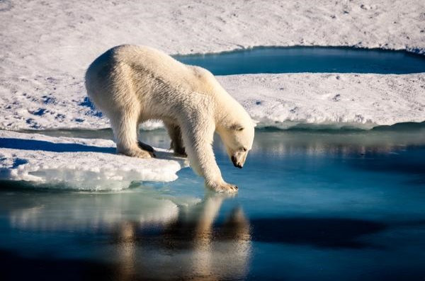 El clima mundial y el cambio climático. - Grado 11 - Quizizz