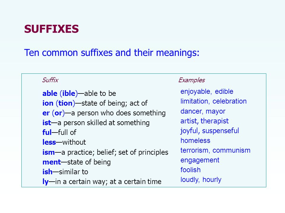 Suffixes -ion, -ment, -ly | Vocabulary Quiz - Quizizz