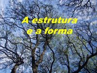 Estrutura do Ensaio Informativo - Série 5 - Questionário