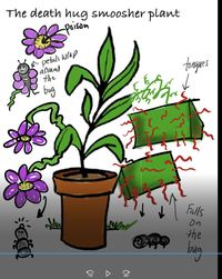 plant biology - Class 4 - Quizizz