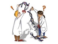 genetyka, słownictwo, genotyp i fenotyp - Klasa 7 - Quiz