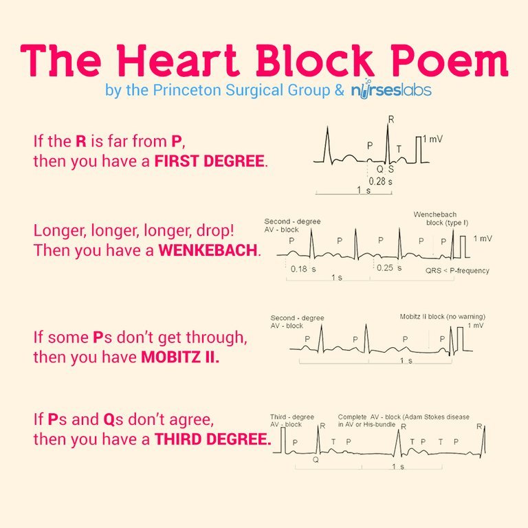 chapter-8-heart-blocks-146-plays-quizizz