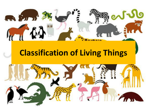 Classifying Living Things | Science - Quizizz