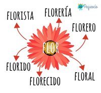 Terminaciones flexivas - Grado 6 - Quizizz