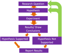 hypothesis testing - Year 7 - Quizizz