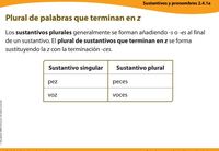 apóstrofes - Grado 3 - Quizizz