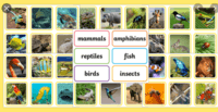 animales Tarjetas didácticas - Quizizz