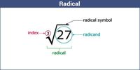 The Basics - Class 8 - Quizizz