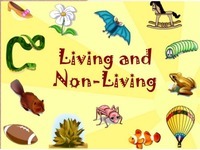 living and non living things - Class 2 - Quizizz