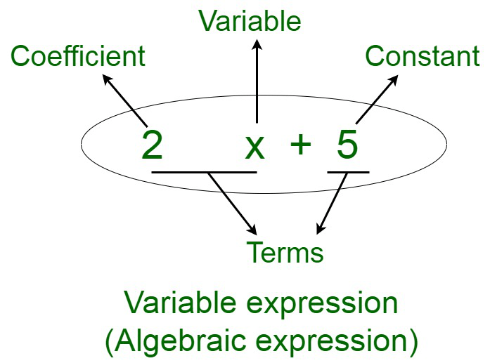 modelado algebraico - Grado 9 - Quizizz