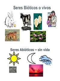 seres bioticos y seres abiticos