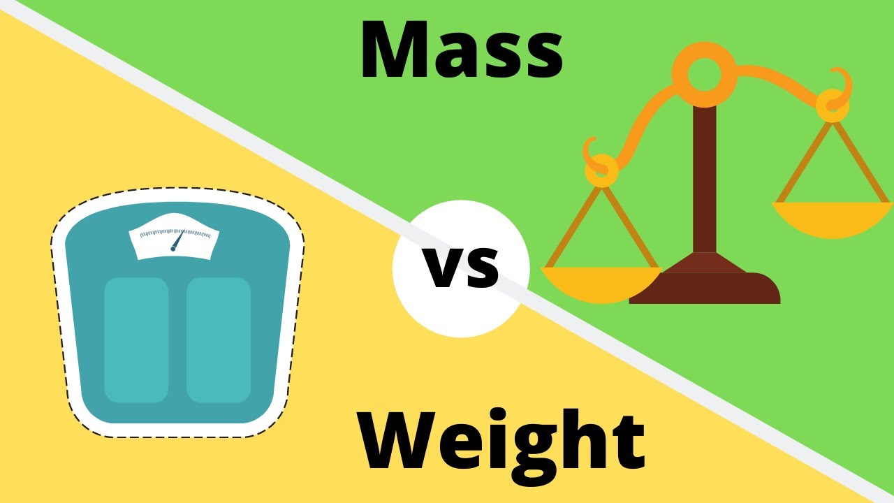 Comparing Weight - Year 11 - Quizizz