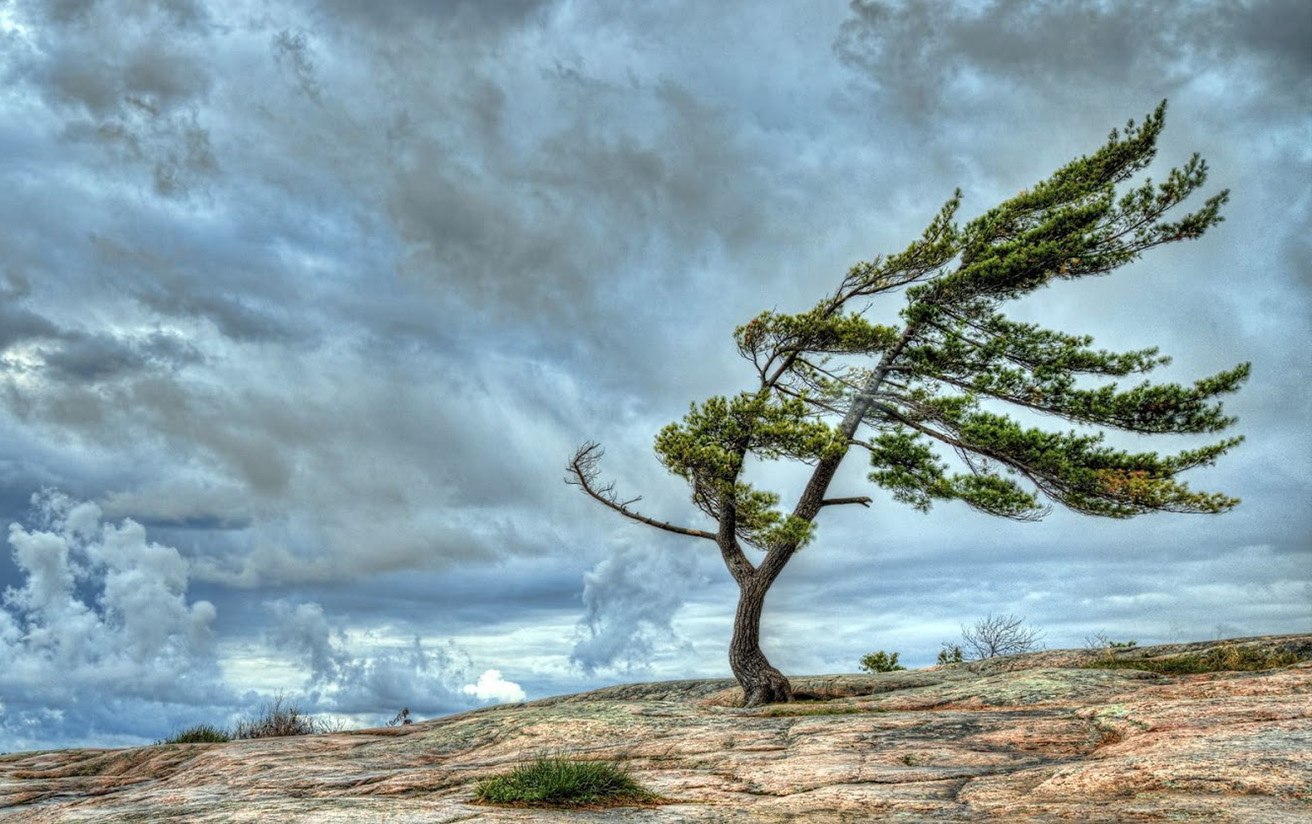 global-winds-science-quiz-quizizz