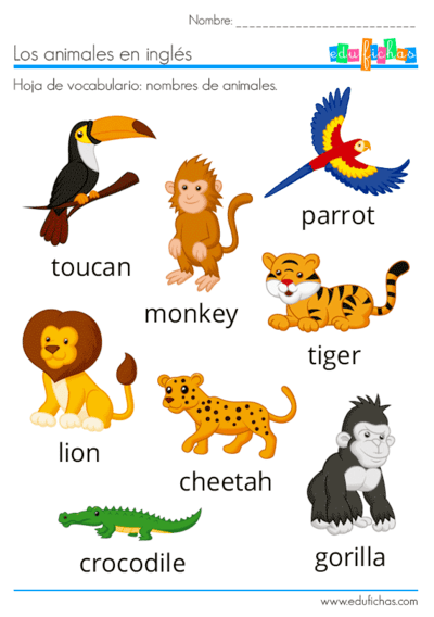 monografias de animales oviparous animal clipart