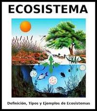ecosistemas Tarjetas didácticas - Quizizz