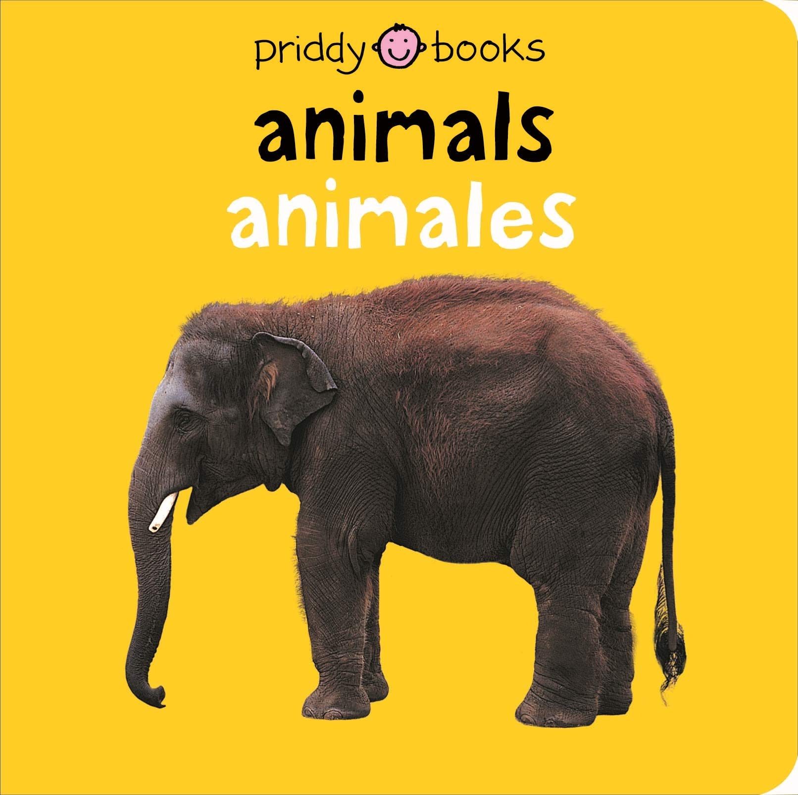 adaptaciones animales - Grado 3 - Quizizz