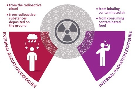 Contamination and Irradiation | Physics Quiz - Quizizz