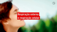 respiração celular - Série 9 - Questionário