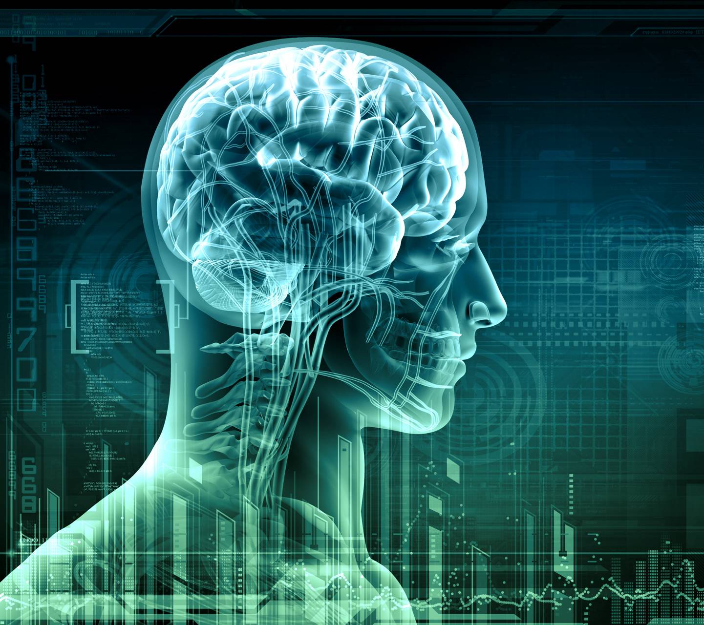 nervous-system-anatomy-crossword-labs