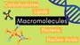 Macromolecules