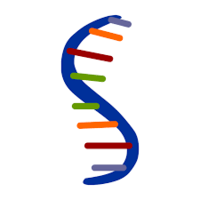 rna and protein synthesis - Class 9 - Quizizz