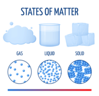 states of matter and intermolecular forces - Grade 6 - Quizizz