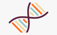 Mutación genética - Grado 8 - Quizizz