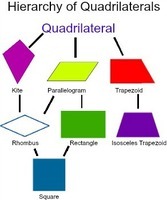 Quadrilaterals - Grade 7 - Quizizz