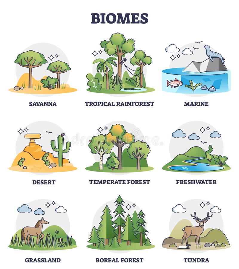 ecosystems - Year 9 - Quizizz