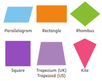 Quadrilaterals - Grade 7 - Quizizz