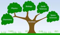 Environmental Science - Class 3 - Quizizz