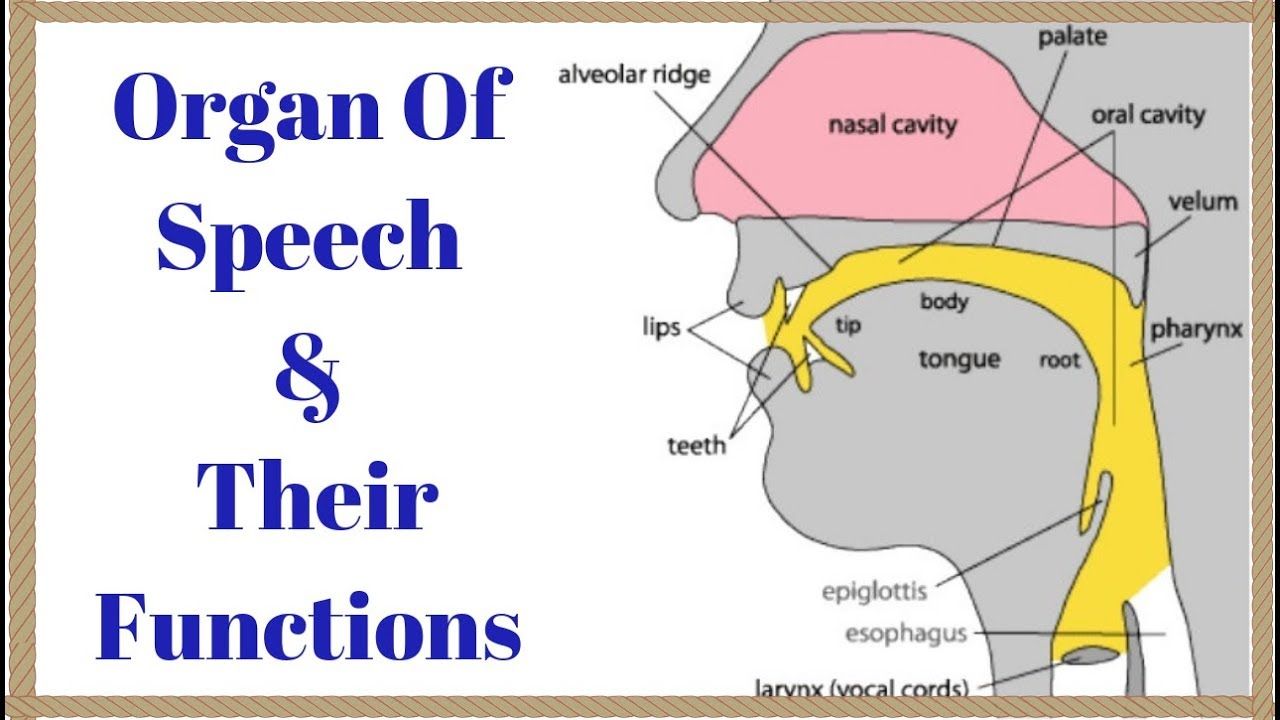 Consonant sounds