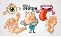 Los 5 Sentidos - Grado 3 - Quizizz