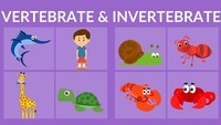 vertebrates and invertebrates - Grade 3 - Quizizz