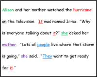 Correcting Shifts in Pronoun Number and Person - Year 7 - Quizizz