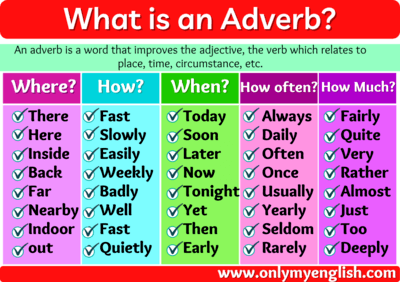 Adverbs Types Quizizz