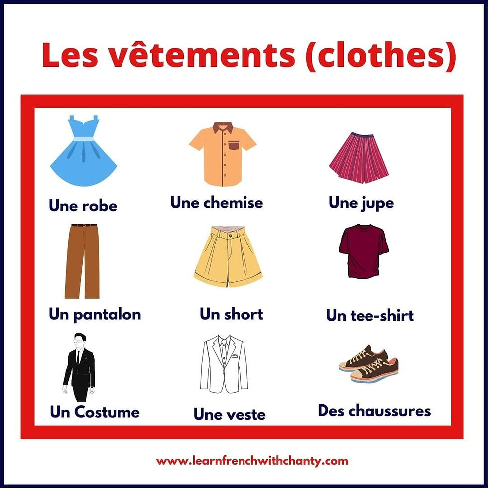 Quiz: Les Vetements et Les Couleurs | 103 plays | Quizizz