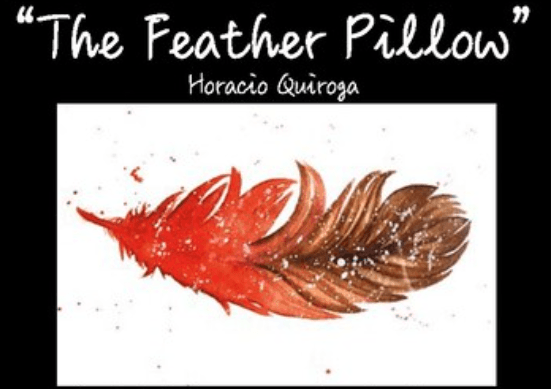 the feather pillow quiroga