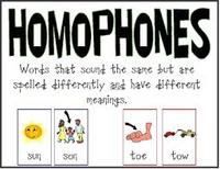 Homophones and Homographs - Grade 1 - Quizizz