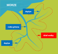 Identyfikacja głównej idei - Klasa 7 - Quiz