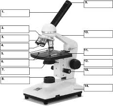 Parts of a Compound Microscope | 2.8K plays | Quizizz