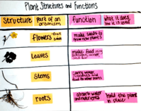 Functions Flashcards - Quizizz