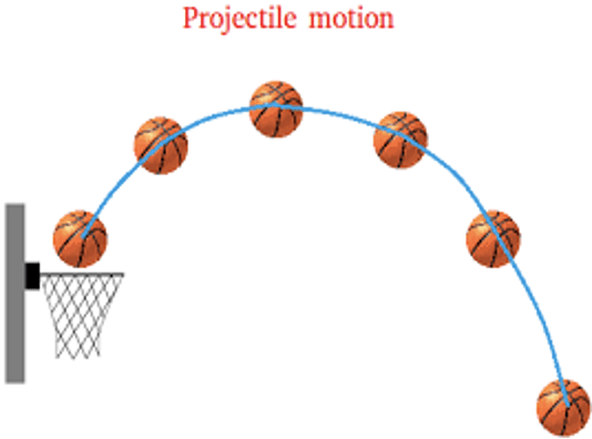 projectile motion - Year 12 - Quizizz