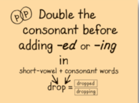 Double Consonants - Year 2 - Quizizz