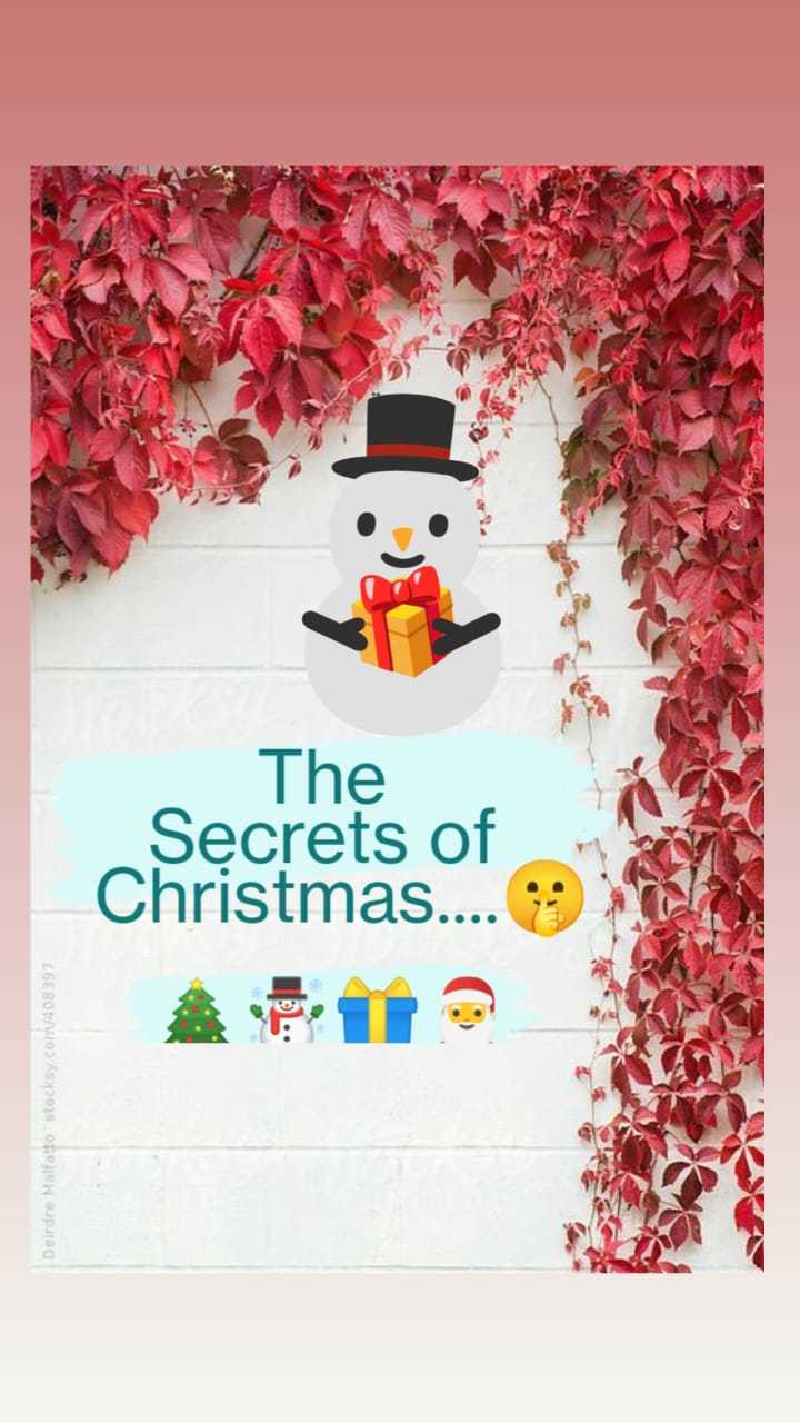 The secrets of Christmas Quizizz