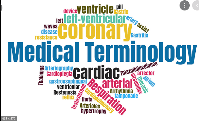 Medical Terminology - Year 3 - Quizizz