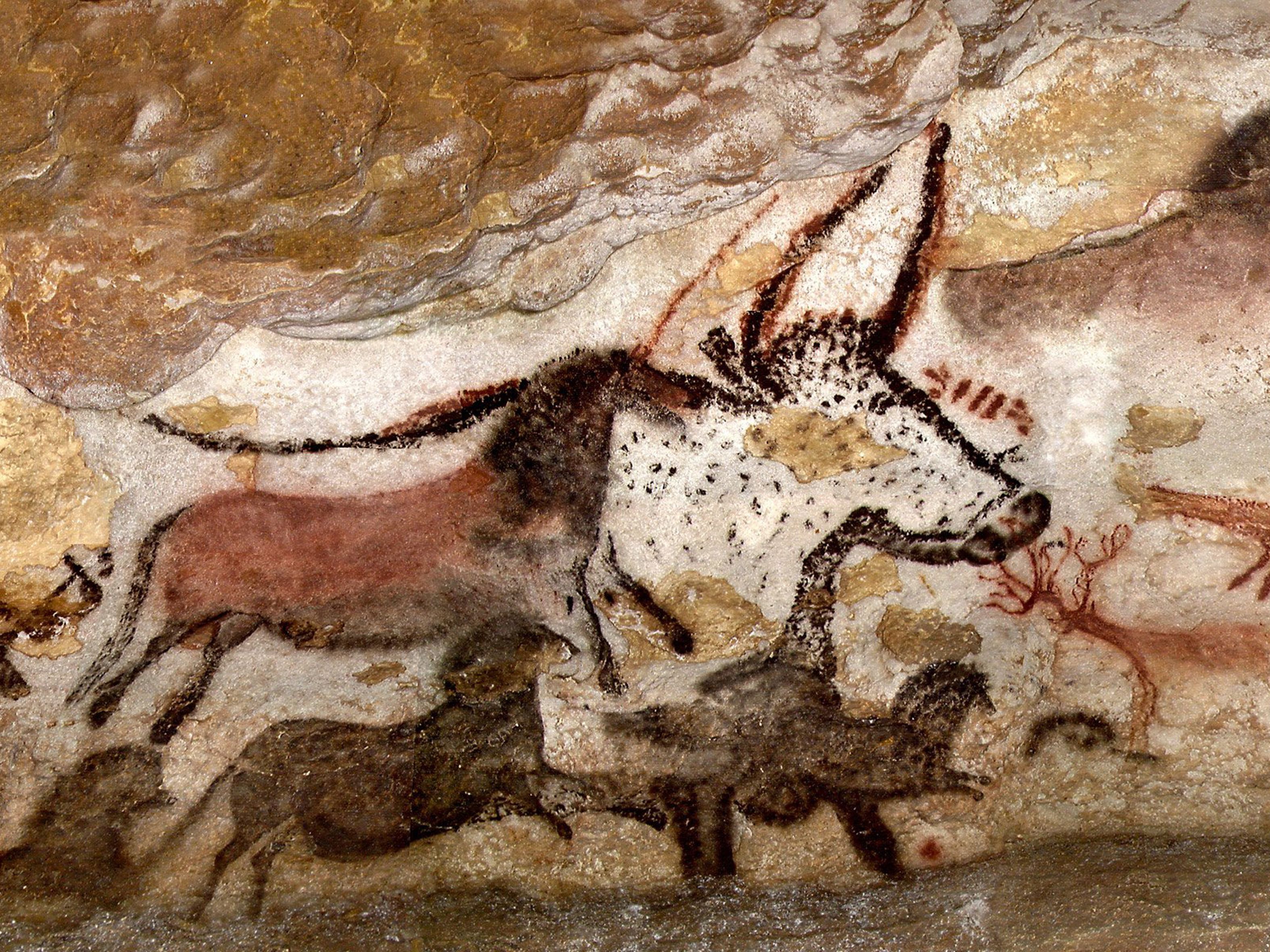 paleolithic-art-history-quiz-quizizz