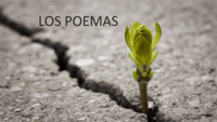 Poemas - Grado 1 - Quizizz